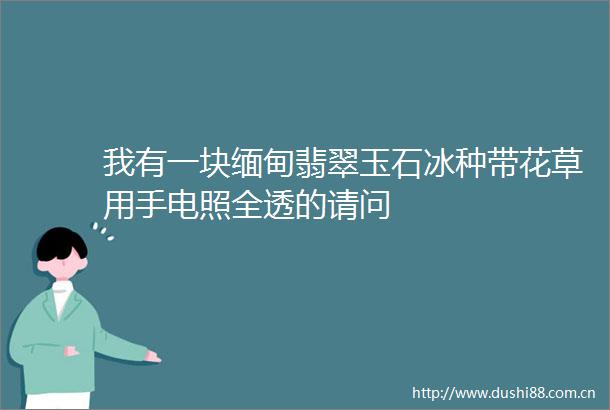 我有一块缅甸翡翠玉石冰种带花草用手电照全透的请问