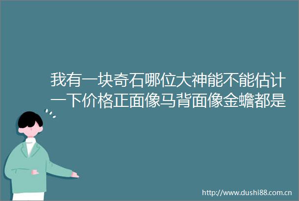 我有一块奇石哪位大神能不能估计一下价格正面像马背面像金蟾都是