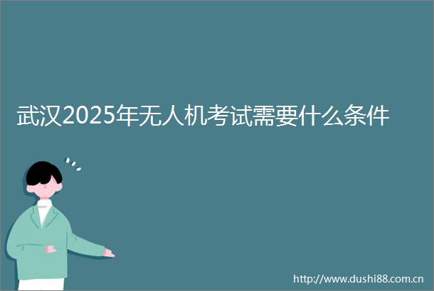 武汉2025年无人机考试需要什么条件