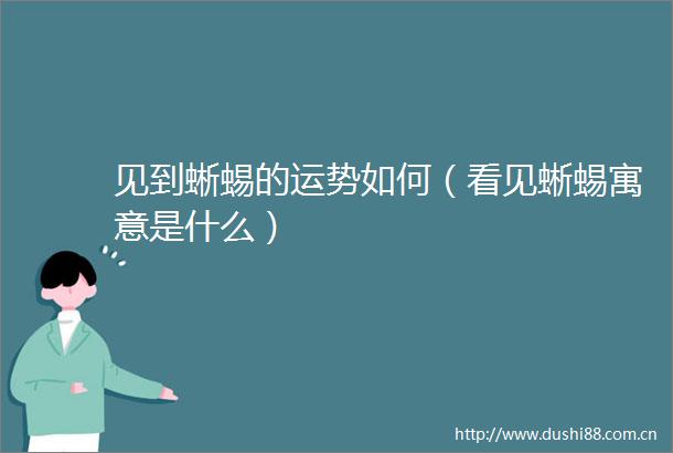 见到蜥蜴的运势如何（看见蜥蜴寓意是什么）