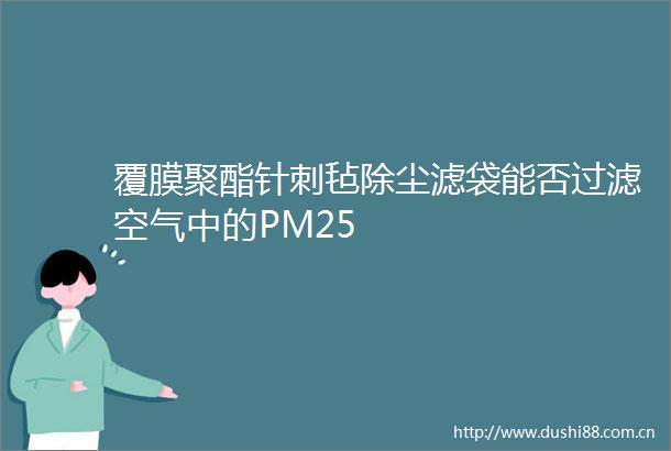 覆膜聚酯针刺毡除尘滤袋能否过滤空气中的PM25